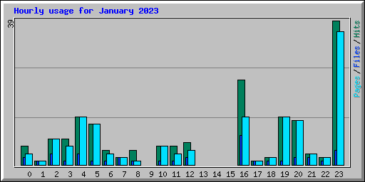Hourly usage for January 2023