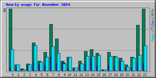 Hourly usage for November 2024