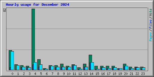 Hourly usage for December 2024