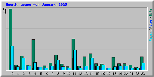 Hourly usage for January 2025