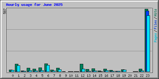 Hourly usage for June 2025