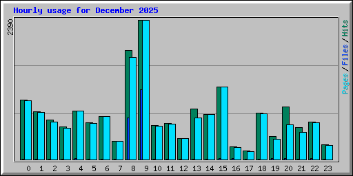 Hourly usage for December 2025