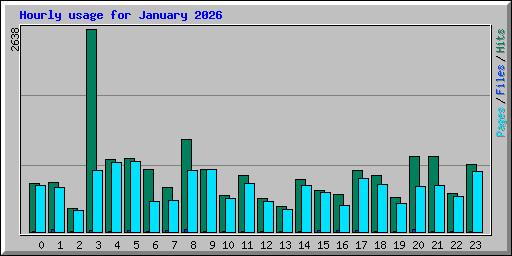 Hourly usage for January 2026