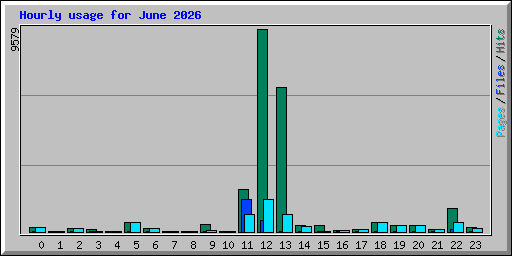 Hourly usage for June 2026