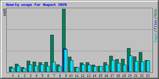 Hourly usage for August 2026