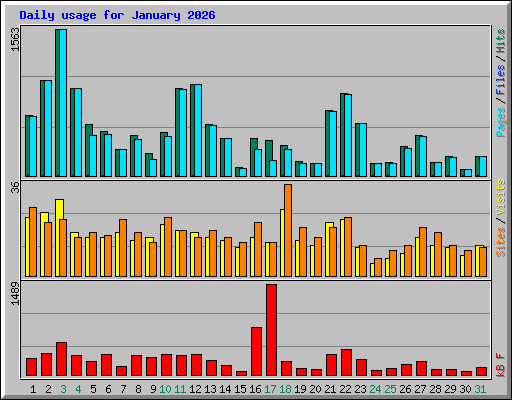 Daily usage for January 2026