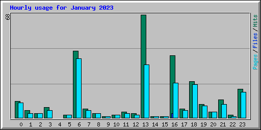 Hourly usage for January 2023