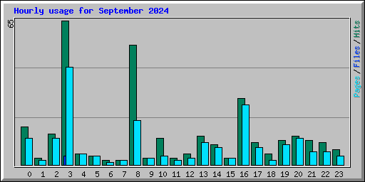 Hourly usage for September 2024