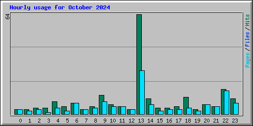 Hourly usage for October 2024