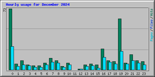 Hourly usage for December 2024