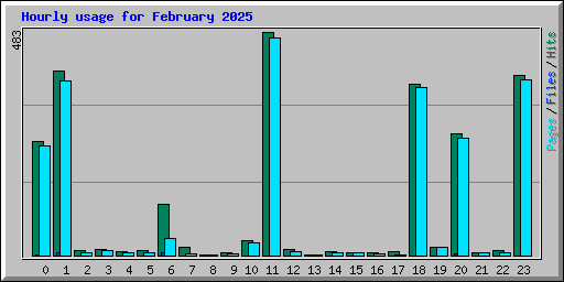Hourly usage for February 2025
