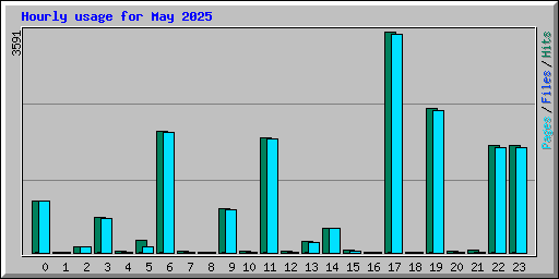 Hourly usage for May 2025
