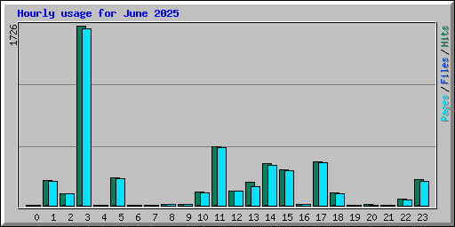 Hourly usage for June 2025