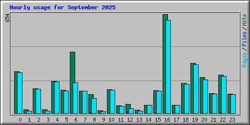 Hourly usage for September 2025
