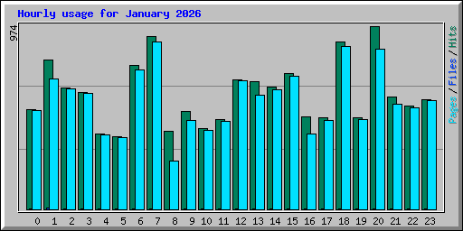 Hourly usage for January 2026