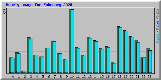 Hourly usage for February 2026