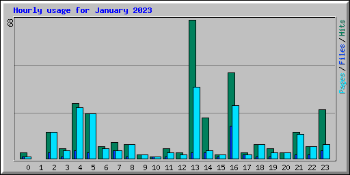 Hourly usage for January 2023