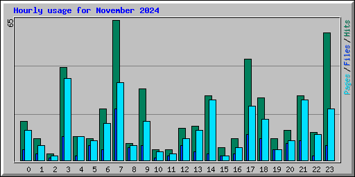 Hourly usage for November 2024