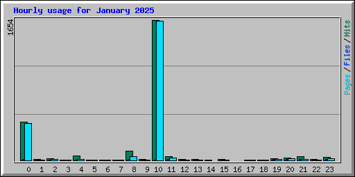 Hourly usage for January 2025