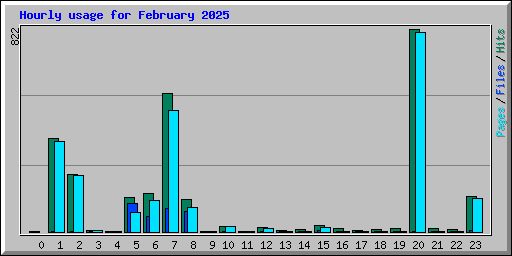 Hourly usage for February 2025