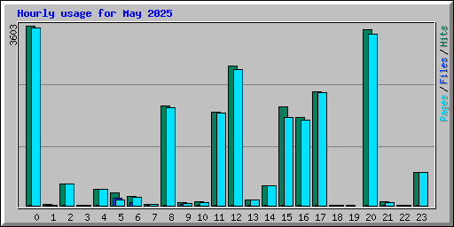 Hourly usage for May 2025