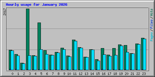Hourly usage for January 2026