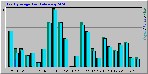 Hourly usage for February 2026
