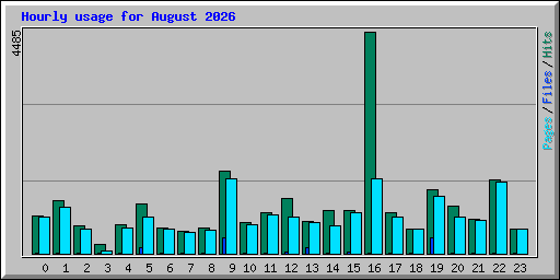 Hourly usage for August 2026
