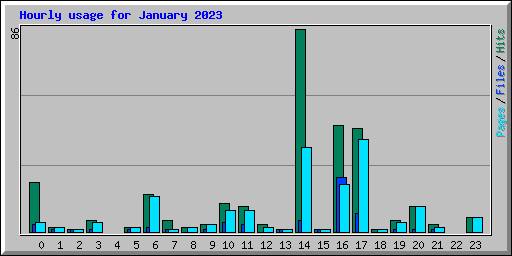 Hourly usage for January 2023