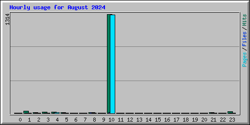 Hourly usage for August 2024