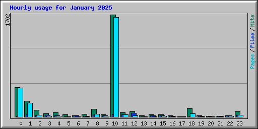 Hourly usage for January 2025