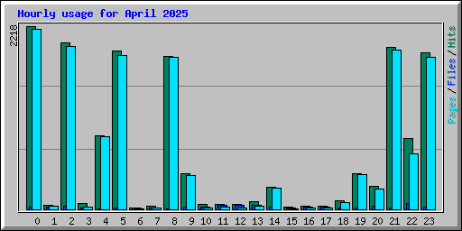Hourly usage for April 2025