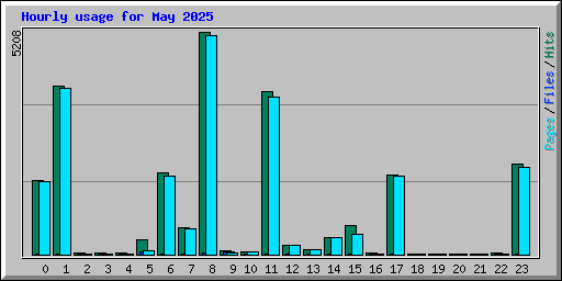Hourly usage for May 2025