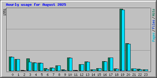 Hourly usage for August 2025