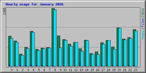 Hourly usage for January 2026