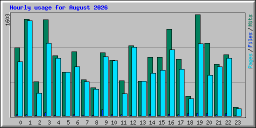 Hourly usage for August 2026