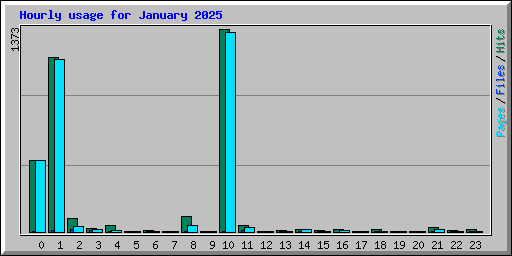 Hourly usage for January 2025