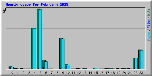 Hourly usage for February 2025