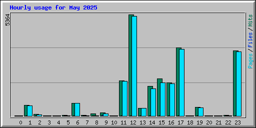 Hourly usage for May 2025