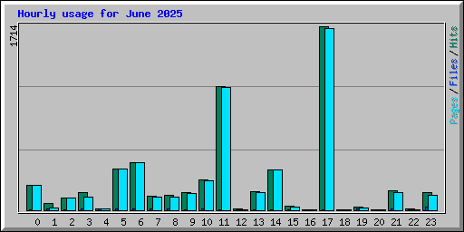 Hourly usage for June 2025