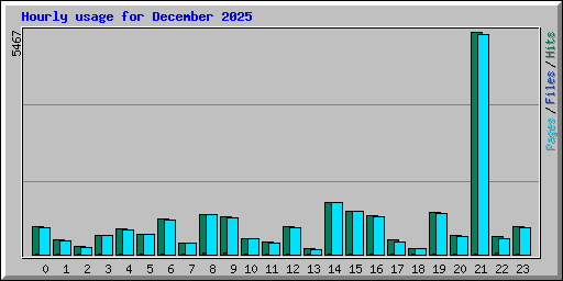 Hourly usage for December 2025