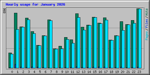 Hourly usage for January 2026