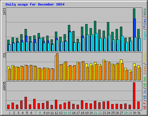 Daily usage for December 2024
