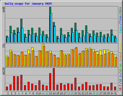 Daily usage for January 2025