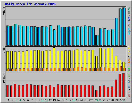 Daily usage for January 2026