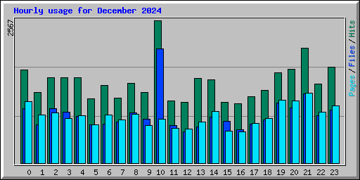 Hourly usage for December 2024
