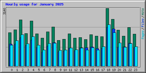 Hourly usage for January 2025
