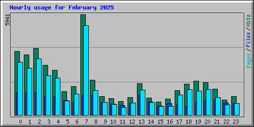 Hourly usage for February 2025