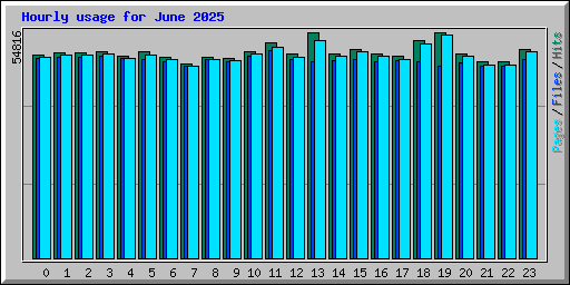 Hourly usage for June 2025