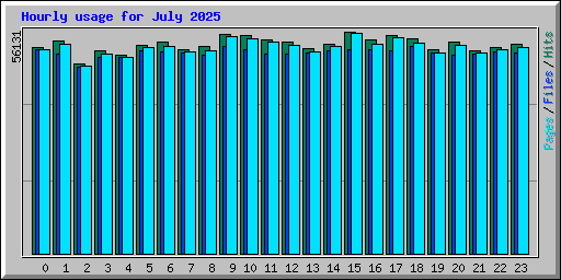 Hourly usage for July 2025